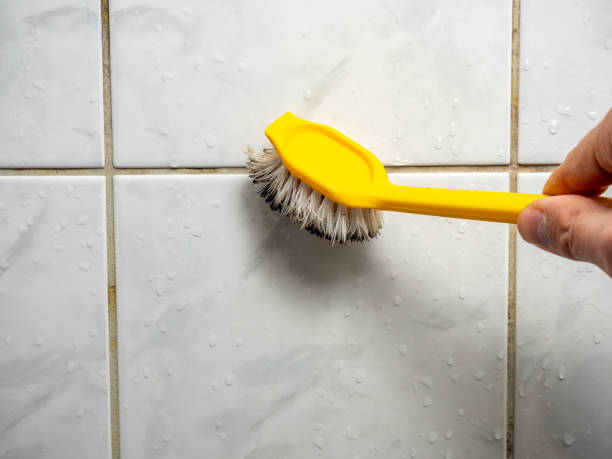 Best Black Mold Remediation in Avondale, LA